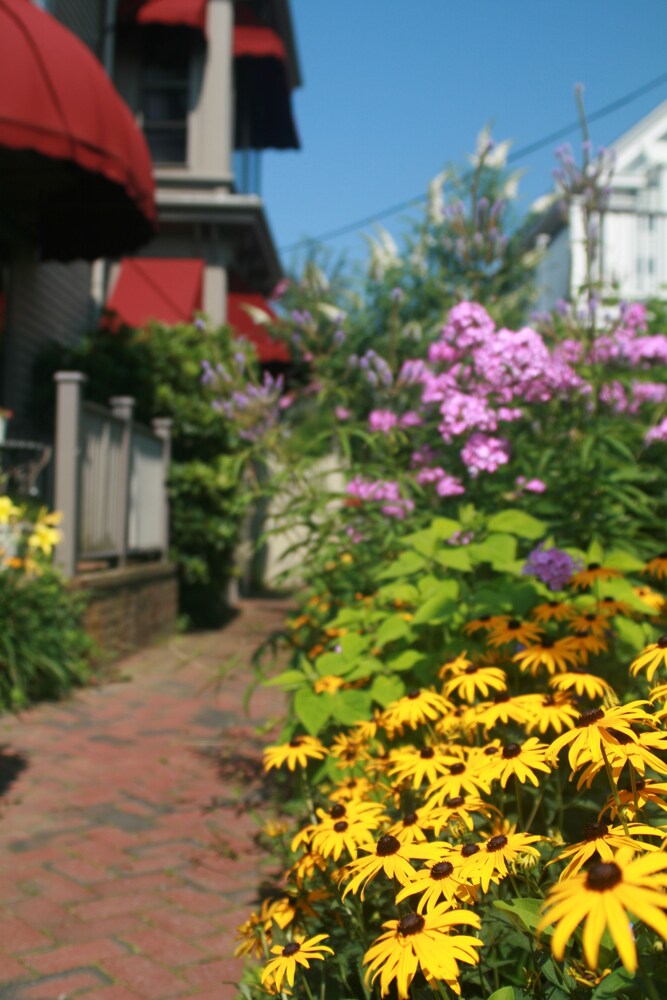 Prince Albert Provincetown - photo 60