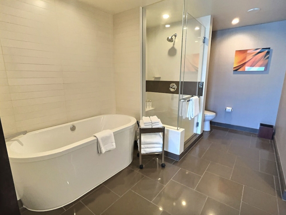 Jet Luxury at the Vdara Condo Hotel - photo 89