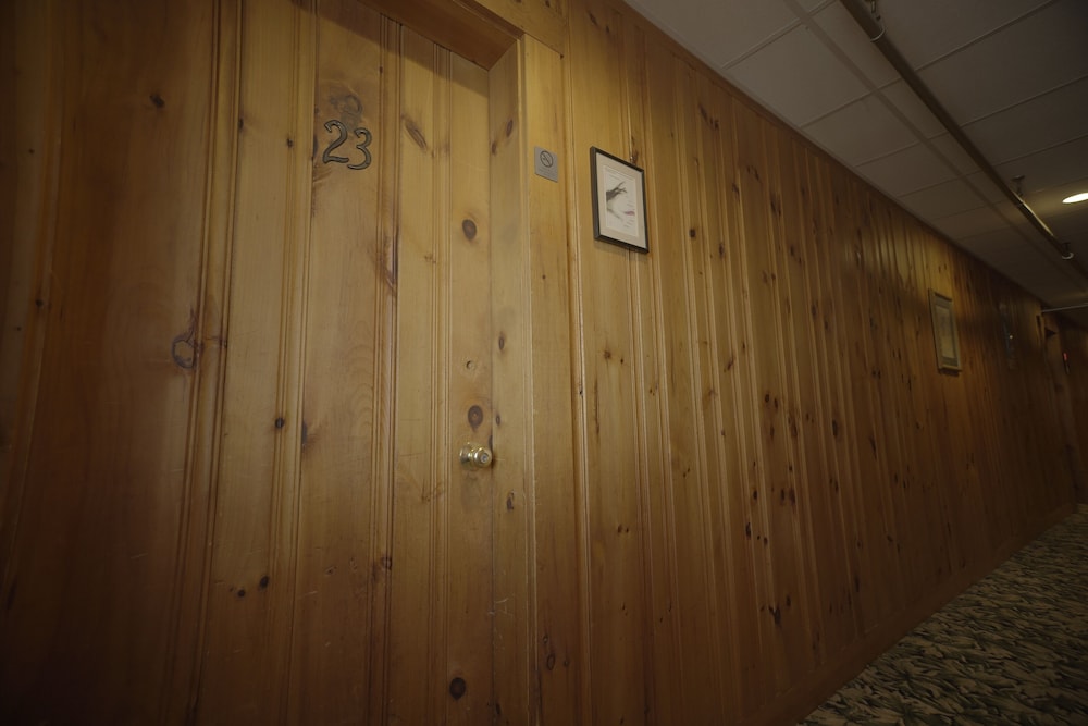 Betty Doon Hotel - photo 111