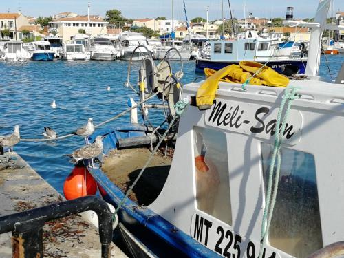 La Côte Bleue in Martigues, France