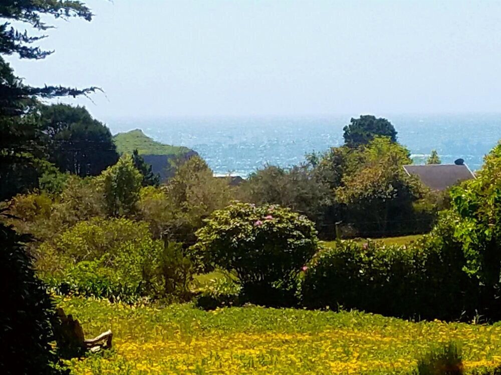 SCP Mendocino Inn and Farm - photo 82