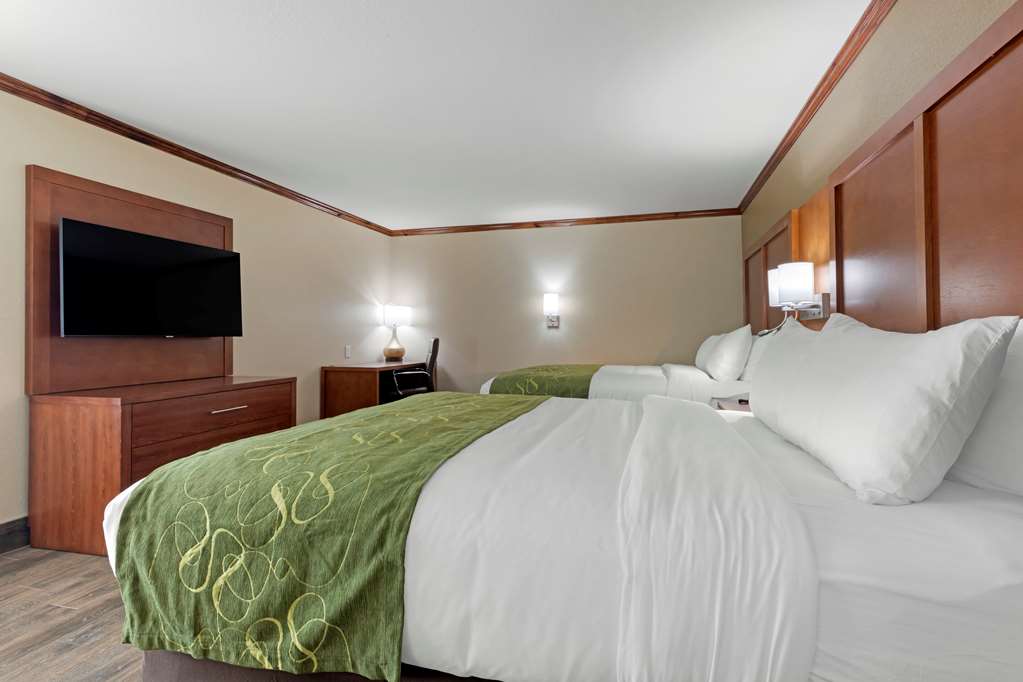 Comfort Suites West Monroe near Ike Hamilton Expo Center - photo 6