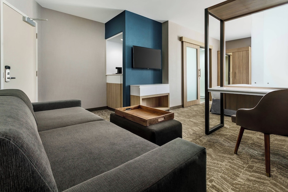 SpringHill Suites by Marriott Belmont Redwood Shores - photo 9