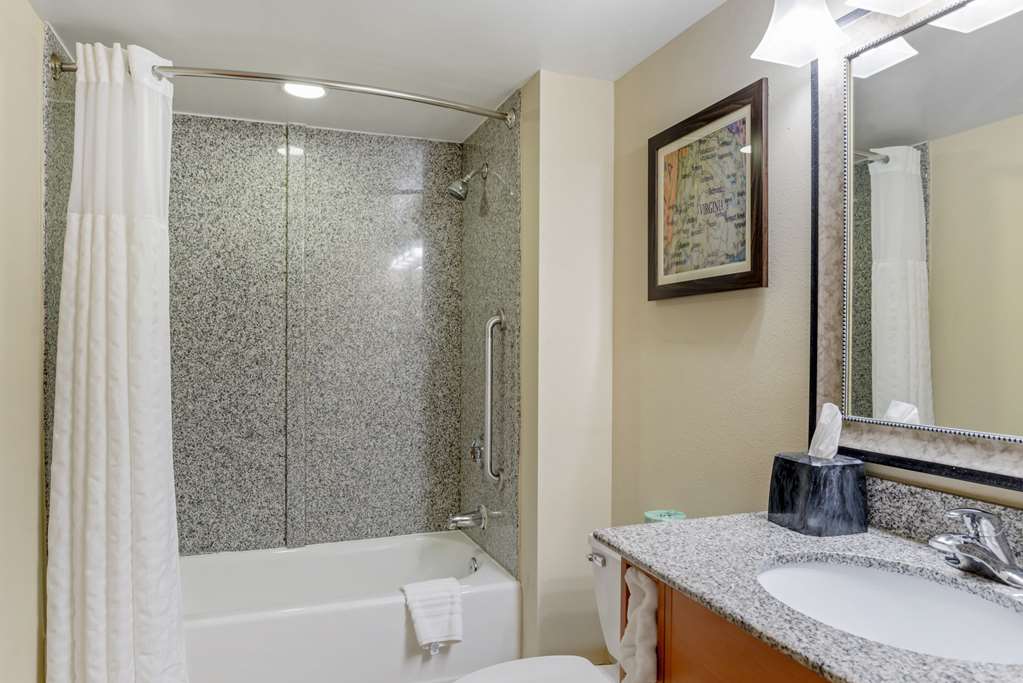 Comfort Suites At Virginia Center Commons - photo 7