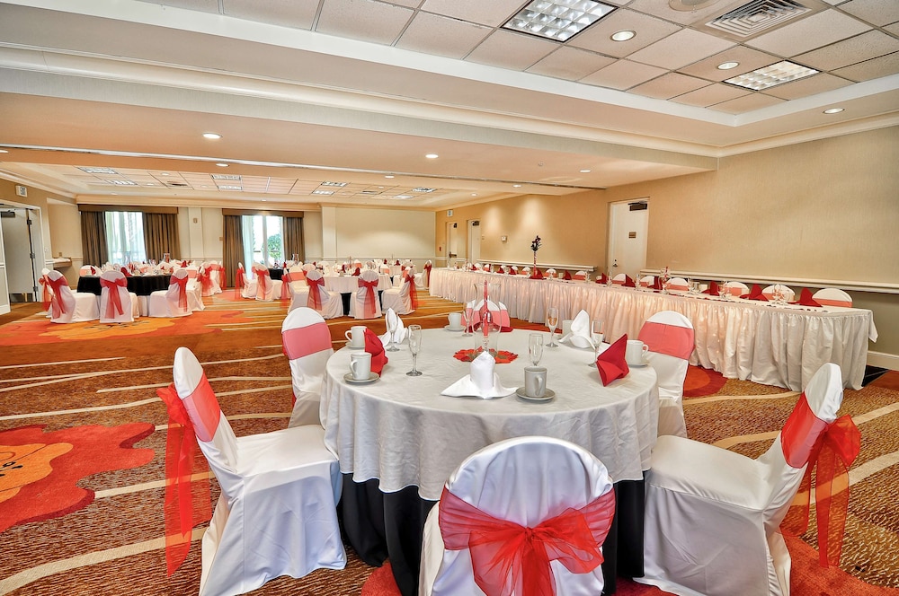 Hilton Garden Inn Tampa North Busch Gardens - photo 42