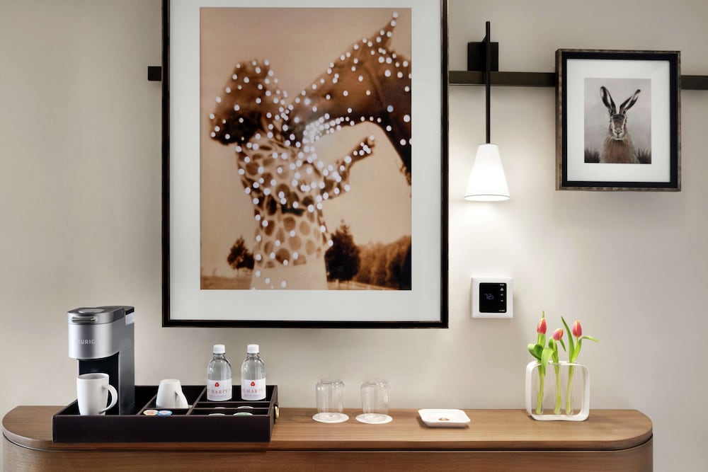 The Harpeth Franklin Downtown Curio Collection by Hilton - photo 38