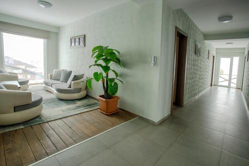 Hotel Donata