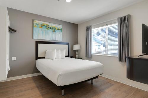 Simplicity At the Rim 1409 I Comfy 1 Bed 1 Bth — 4-Star Luxury Hotel in San Antonio, United States