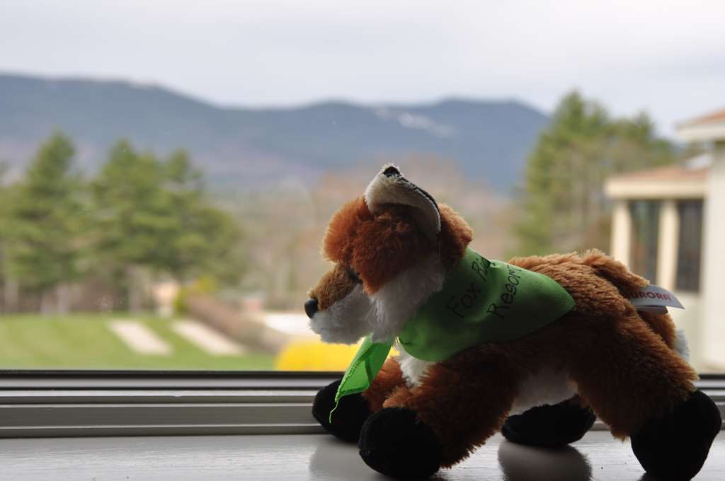 Fox Ridge Resort - photo 61