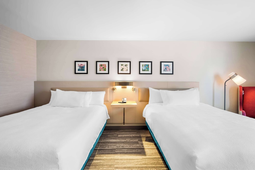 Hilton Garden Inn North Conway - photo 11