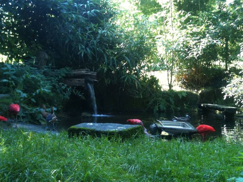 Children's activities