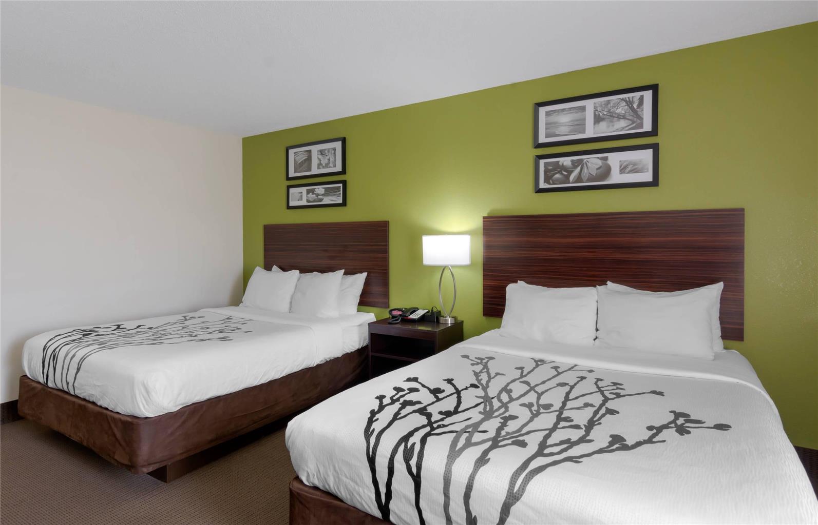 Sleep Inn & Suites Prince George near Fort Lee - photo 11