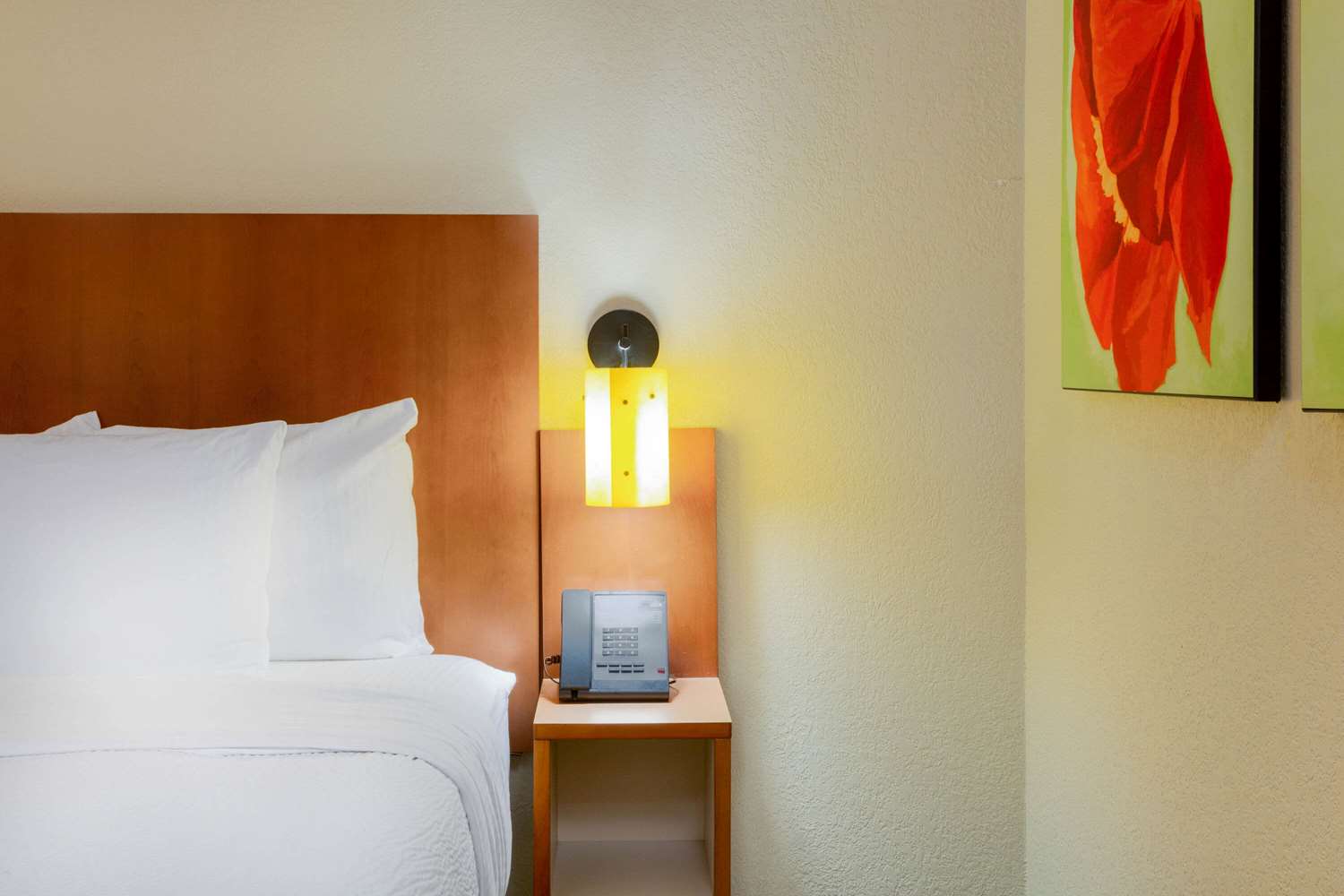 Spark by Hilton Charlotte Airport North - photo 31