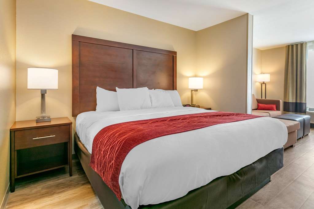 Comfort Inn & Suites Van Buren Fort Smith - photo 20