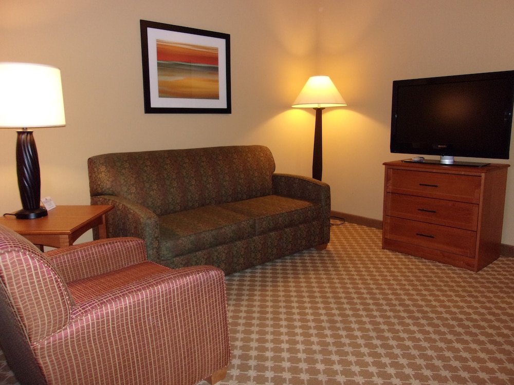 Holiday Inn Express & Suites Chicago West Roselle an IHG Hotel - photo 4