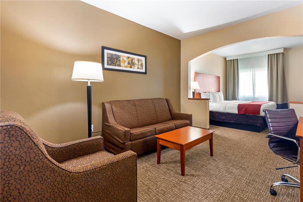 Comfort Suites North Dallas - photo 5