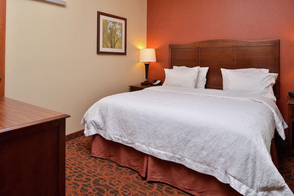 Hampton Inn Idaho Falls Airport - photo 8