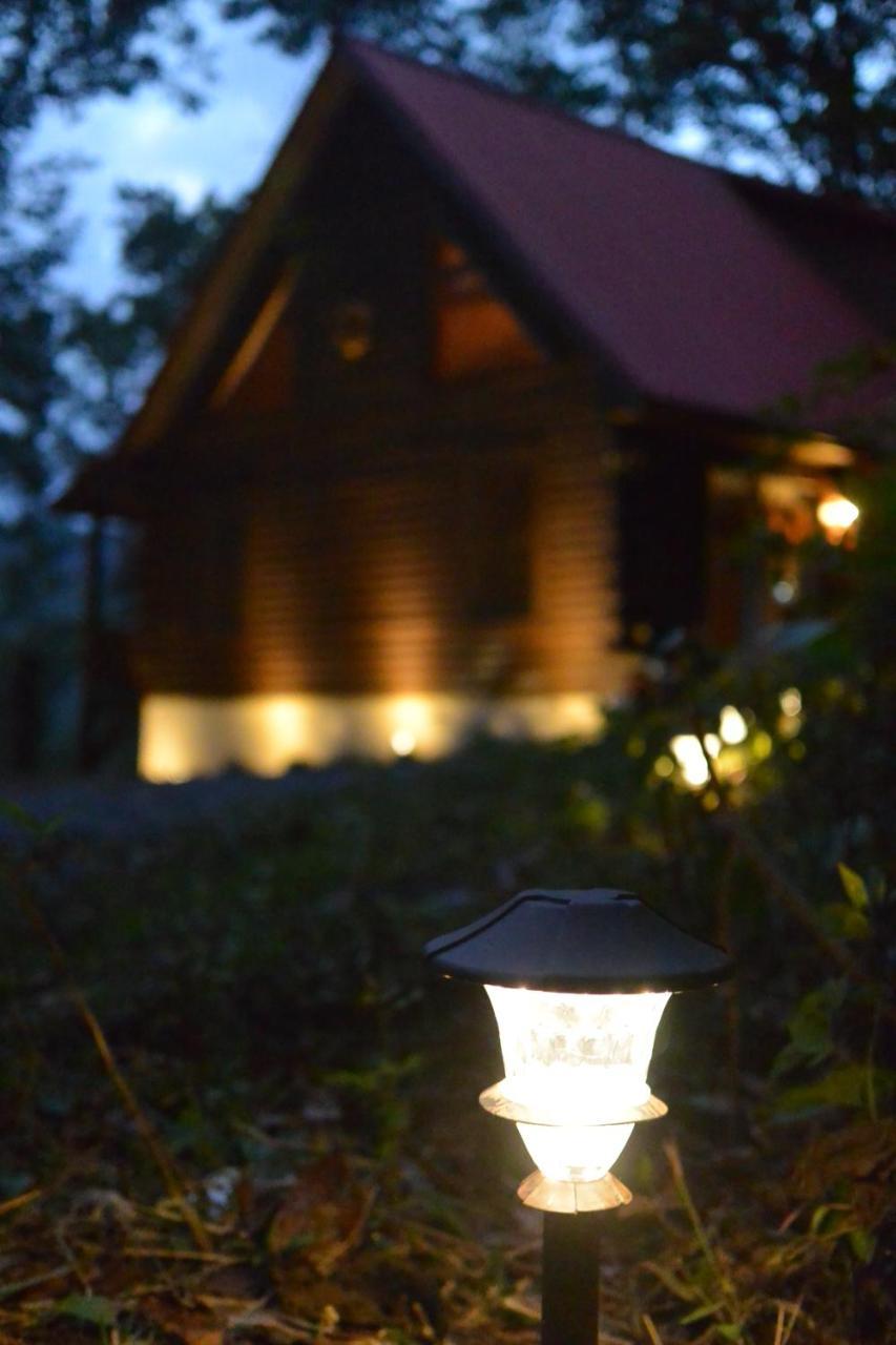 Smokies Overlook Lodge - photo 40