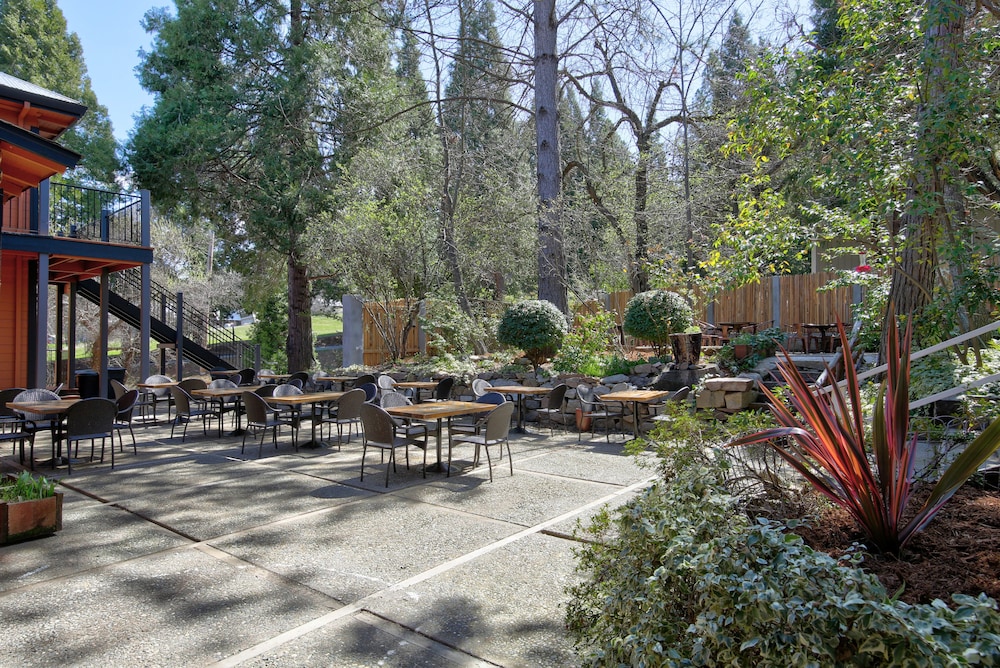 The Groveland Hotel - photo 42