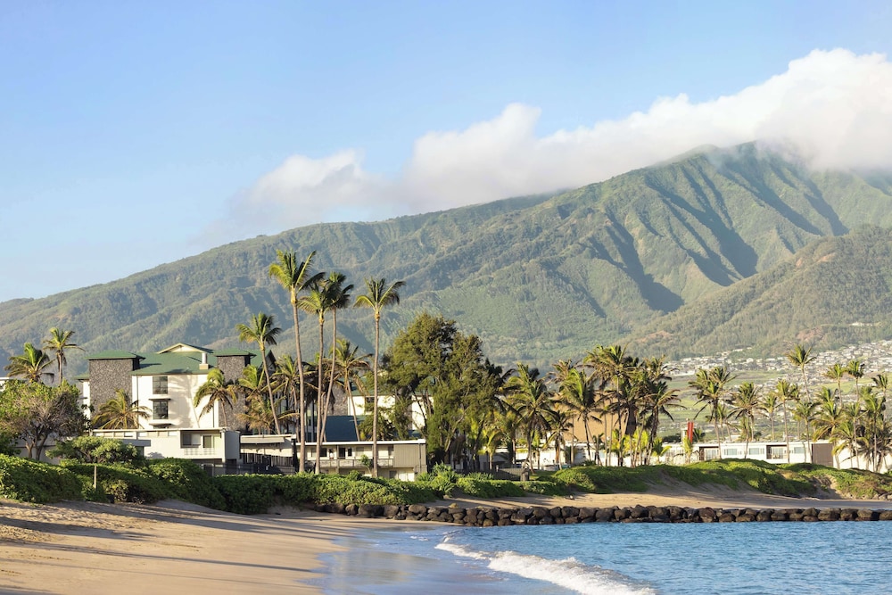 Hampton Inn & Suites by Hilton Maui North Shore - photo 56