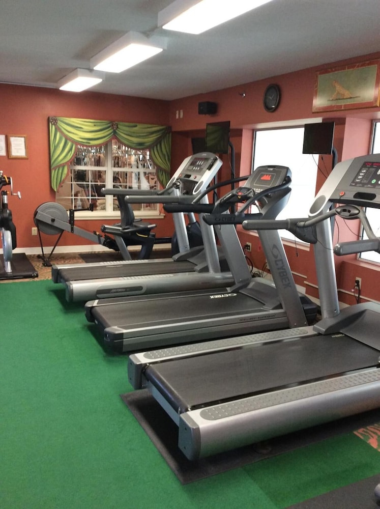 Senator Inn & Spa - photo 94