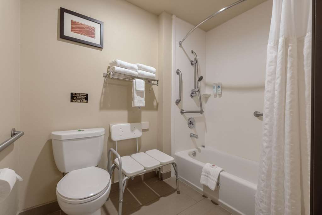 Comfort Inn & Suites Alamosa - photo 36