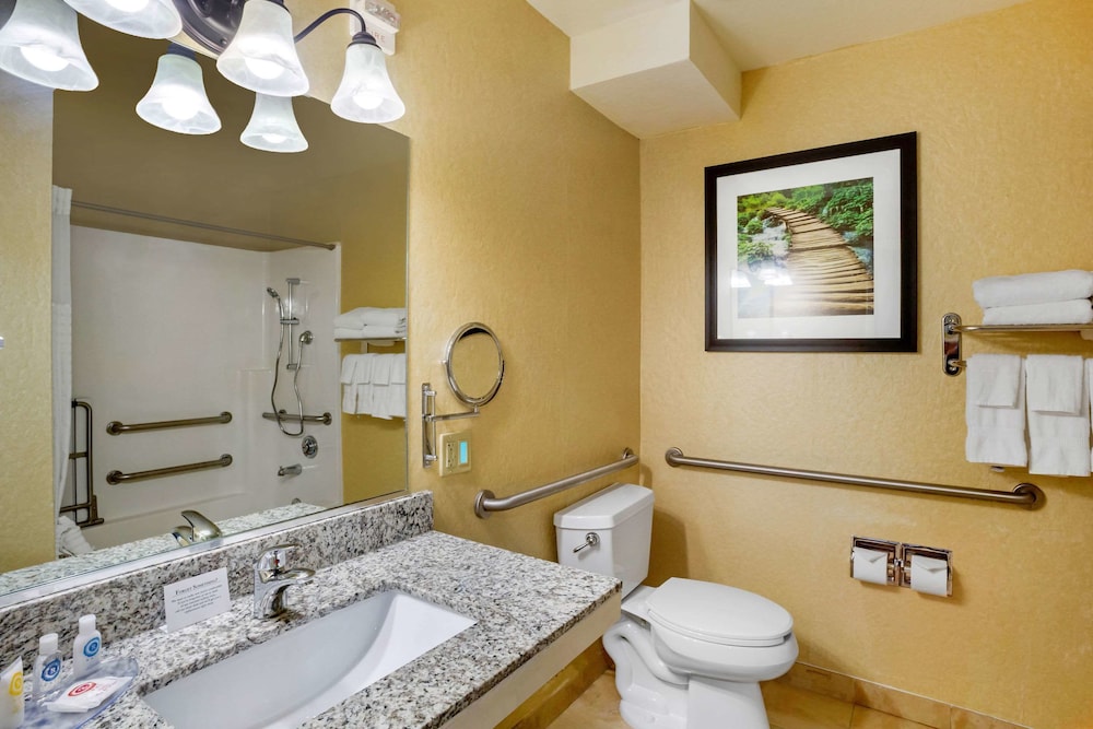 Comfort Inn Castro Valley - photo 9