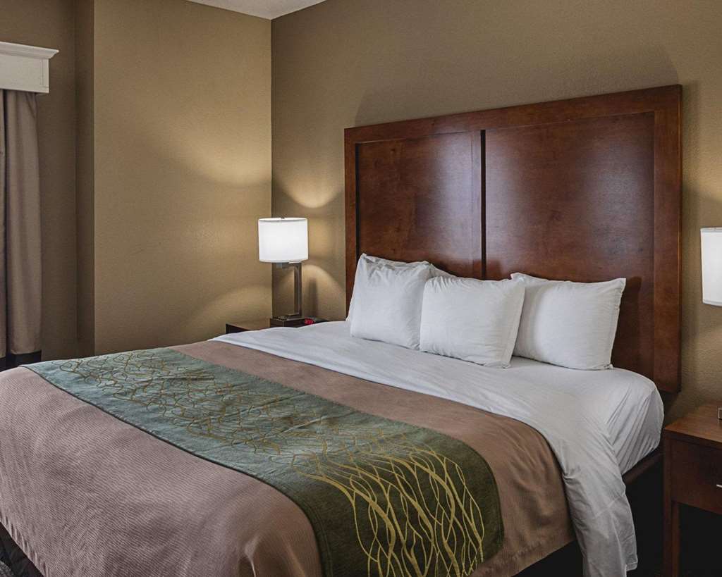 Comfort Inn Midland South I 20 - photo 23