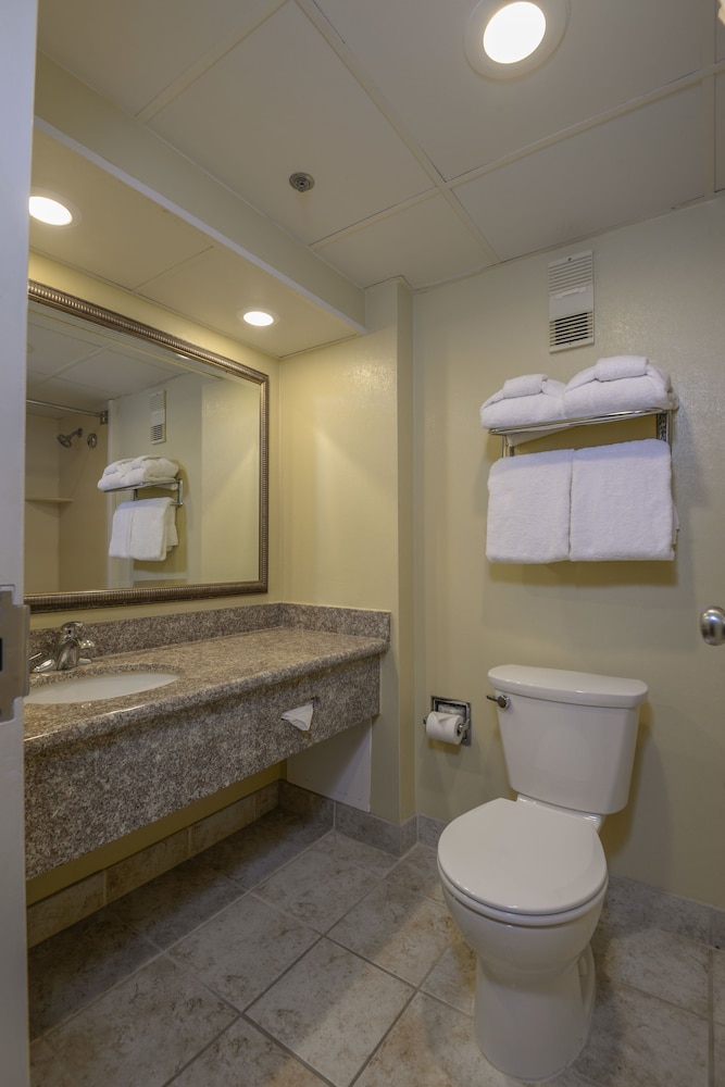 Ashore Resort & Beach Club - photo 16
