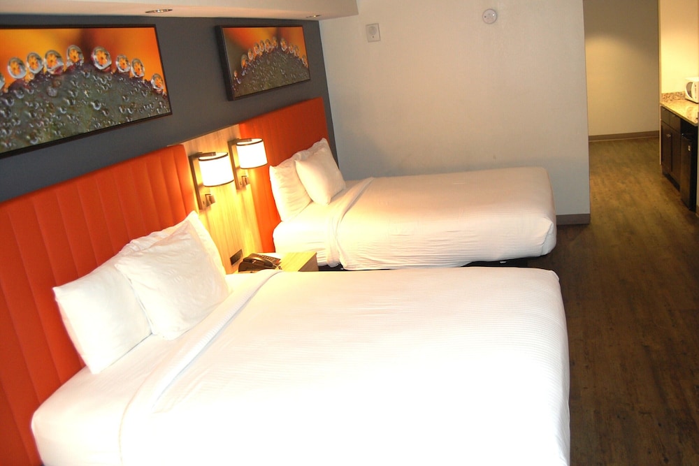 Vacation Lodge - photo 10