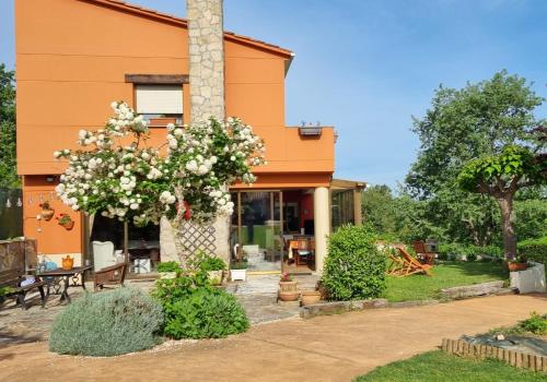 Leiradaporta in Monforte De Lemos, Spain