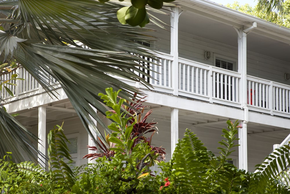 Paradise Inn Key West Adults Only - photo 21