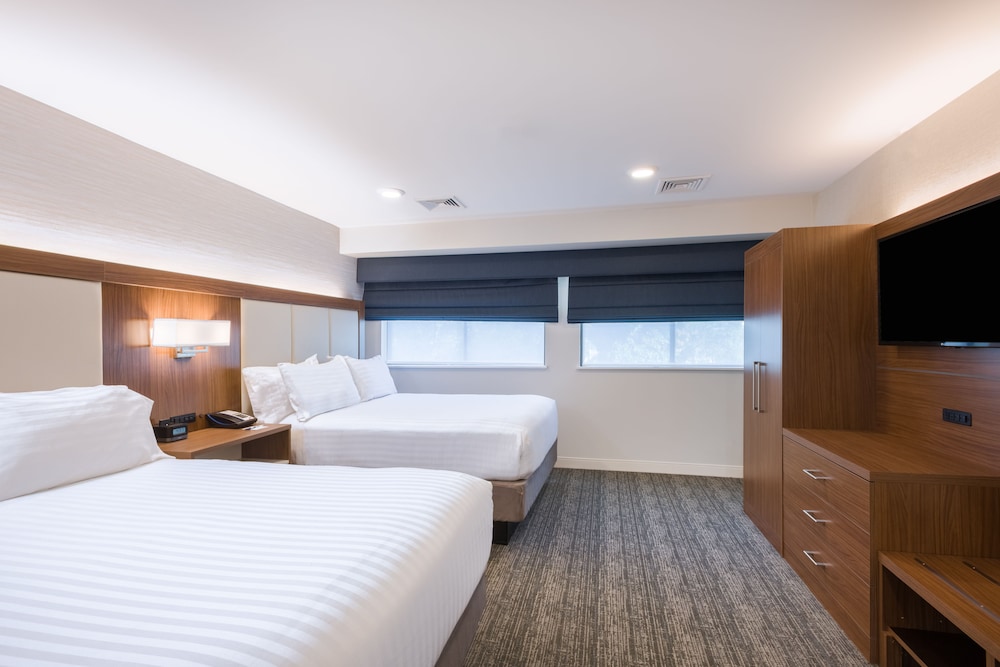 Holiday Inn Express Boston Waltham by IHG - photo 8