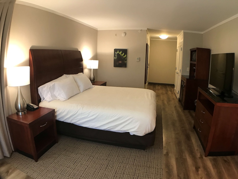 Hilton Garden Inn Bowling Green - photo 36