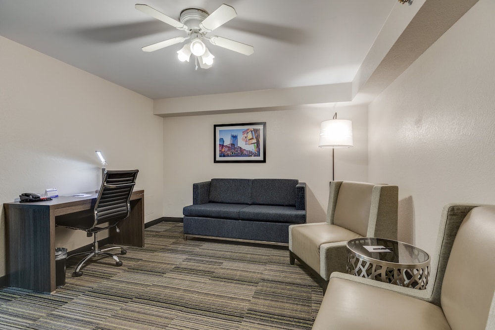 The Alexis Inn & Suites Nashville Airport - photo 24