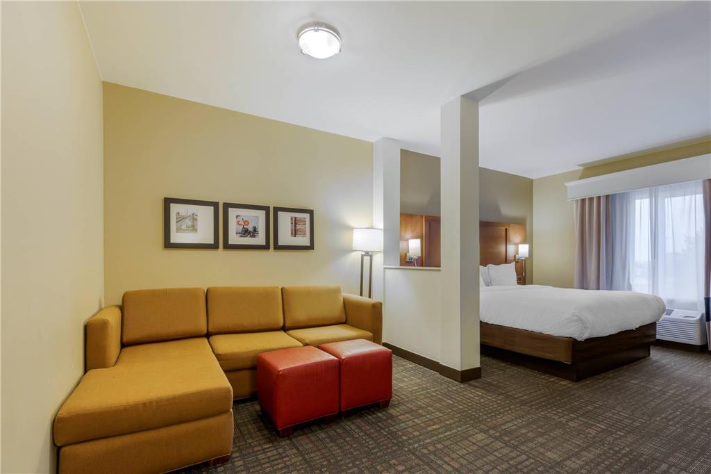 Comfort Suites Loveland - photo 22