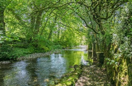Airton Mill