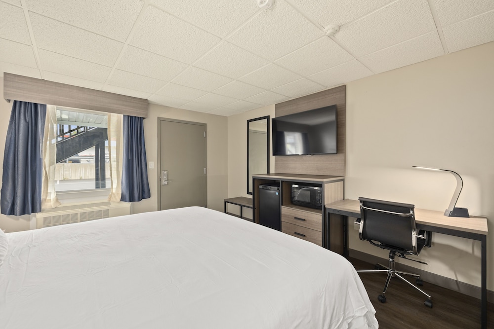 The Elmwood - photo 5