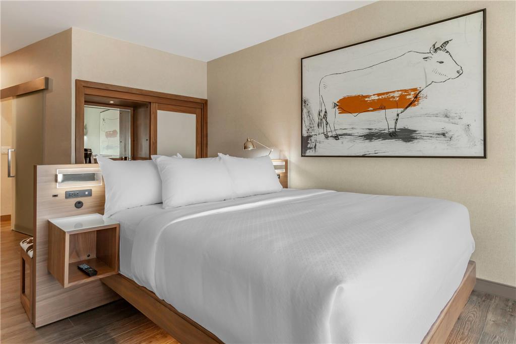 Cambria Hotel Richardson Dallas - photo 10