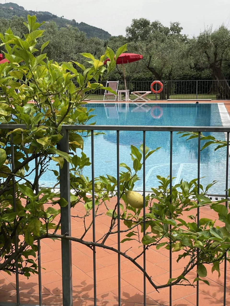 In Versilia — 4-Star Luxury Hotel in Seravezza, Italy