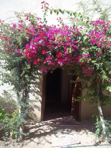 Nour El Gourna in Luxor, Egypt