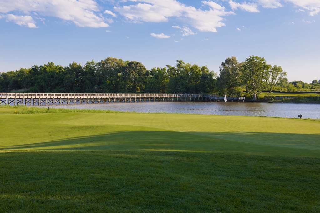 Hyatt Regency Chesapeake Bay - photo 26