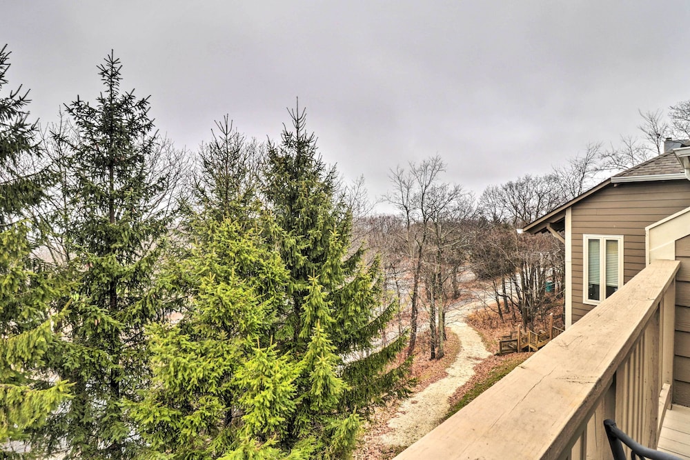 Wintergreen Resort Retreat with Skiing Access - photo 22