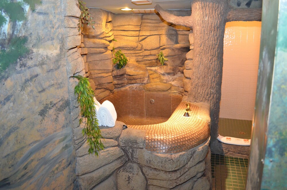 Red Carpet Inn And Fantasuite Hotel - photo 36