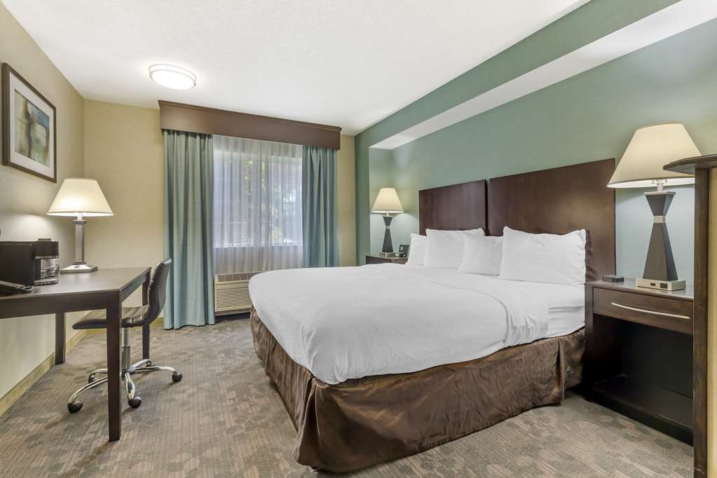 Best Western Plus Berkshire Hills Inn & Suites - photo 17