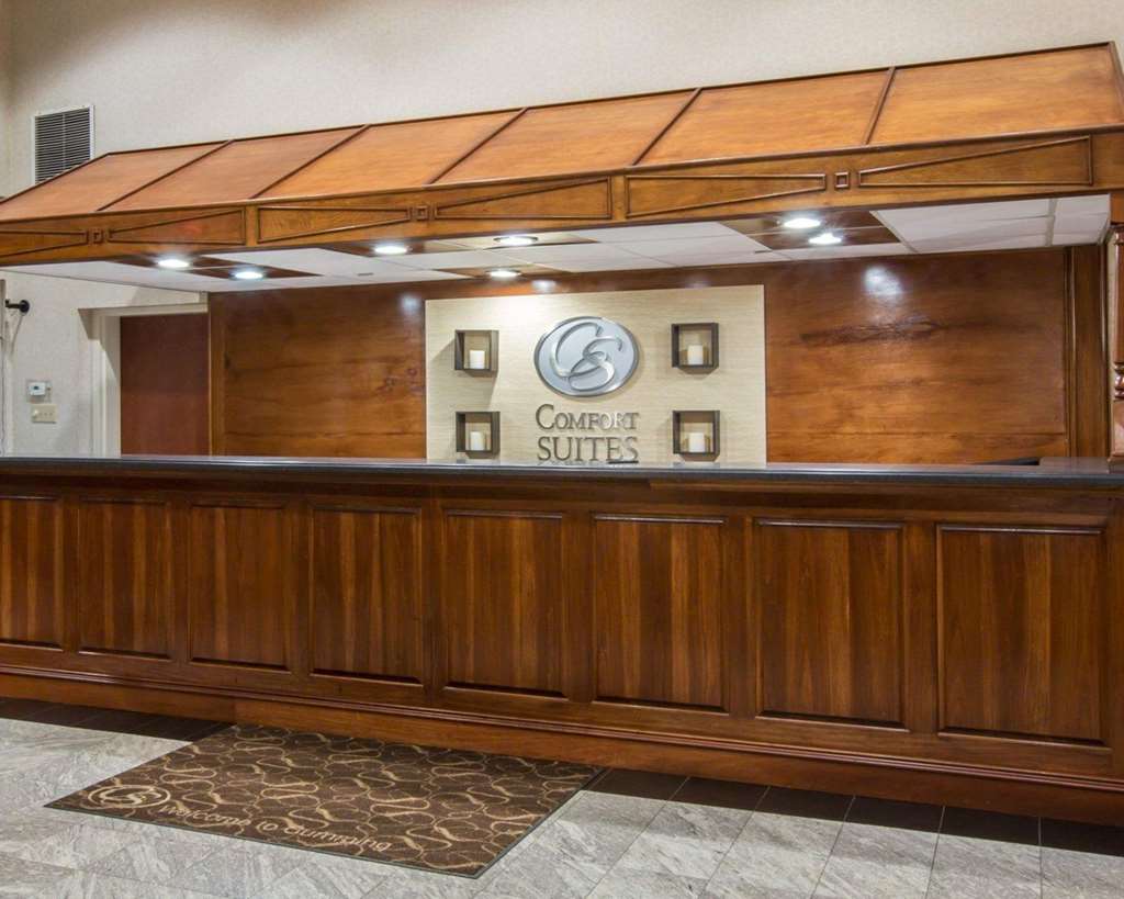 Comfort Suites Cumming Atlanta near Northside Hospital Forsyth - photo 6