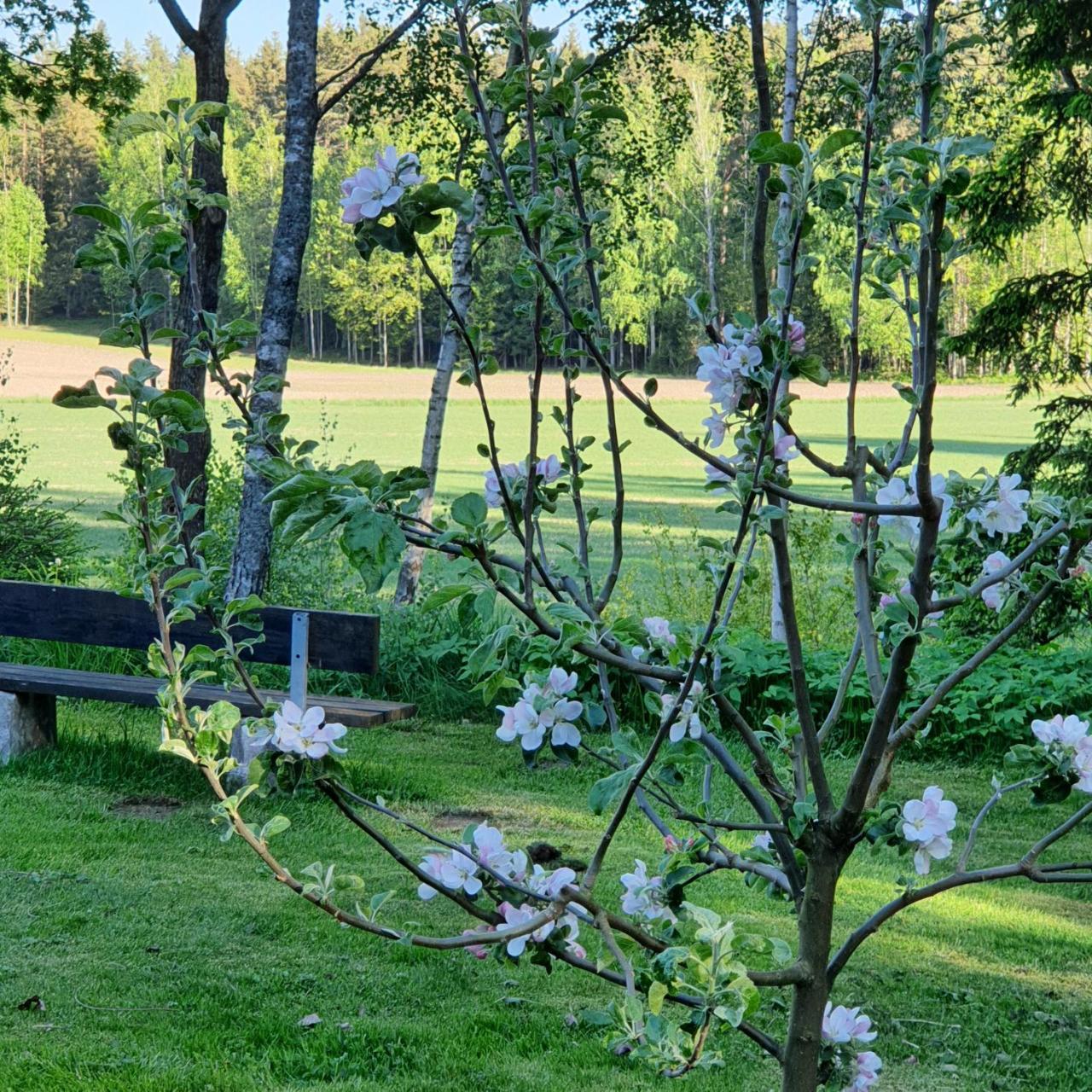 Torpet Gårdsvägen — Hammar — photo 4