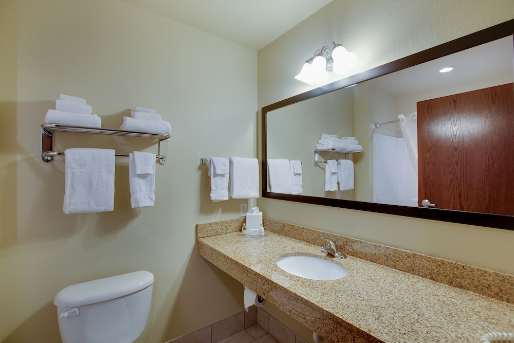 Cobblestone Inn & Suites Durand - photo 36