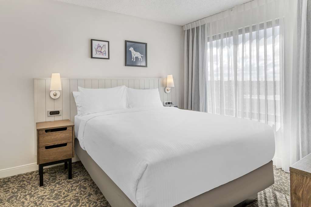 Sonesta ES Suites San Antonio Downtown Alamo Plaza - photo 27