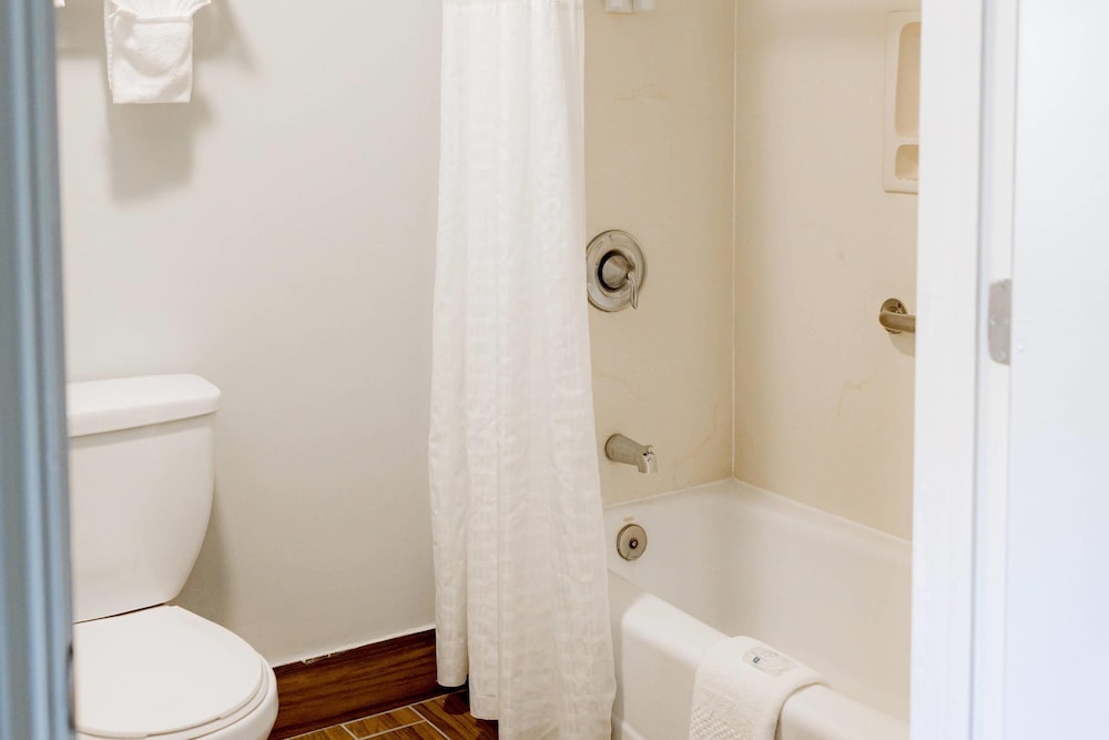 Quality Inn & Suites Lathrop South Stockton - photo 15